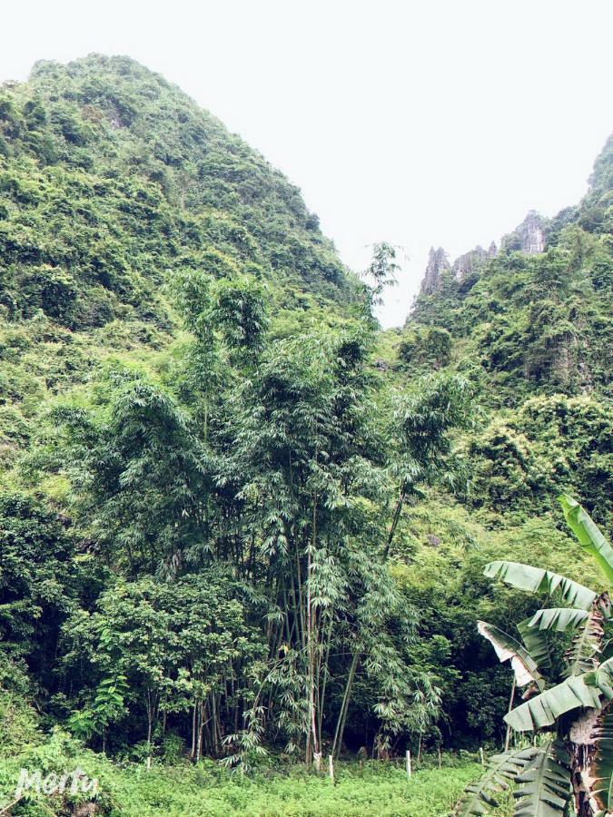 Khuoi Ky Eco Homestay Cao Bang Zewnętrze zdjęcie